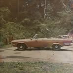 Wayne Schulz - Facebook