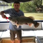 Wayne Schulz - @littlefellar - Instagram