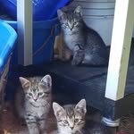 Wayne Schulz - @wayneschulz4 - Instagram