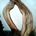 Wayne Sealey Natual fusions - @sealeywayne - Instagram