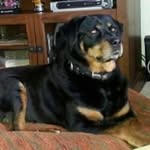 Wayne Searcy - @waynesearcy - Instagram