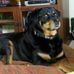 Wayne Searcy - Facebook
