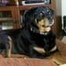 Wayne Searcy - Facebook