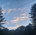 Gomer Sedgewick - Facebook