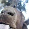 Wayne Seelhammer - @wayneseelhammer - TikTok