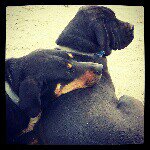 wayne seitz - @awseitz - Instagram