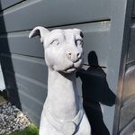 Wayne Senior - @stonesilk2021 - Instagram