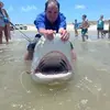 Wayne Senn - @wayne.senn - TikTok