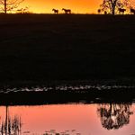 Wayne Sharkey - @wayne.a.sharkey - Instagram