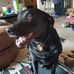 Wayne Sharkey - Facebook