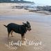 Wayne Shelley - Facebook
