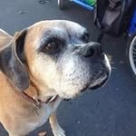 Wayne Shelly - @wayneshelly1 - Instagram