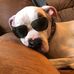 Wayne Shepardson - Facebook