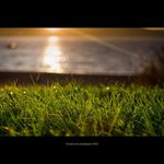 Wayne Shepherd - @wayneshepherd - Instagram