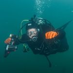 Wayne Shepherd - @wayne.shepherd - Instagram