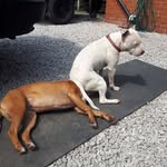 Wayne O Sheridan - @wayneosheridan - Instagram