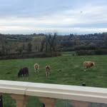 wayne sheridan - @waynesheridan95 - Instagram