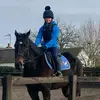 wayne sheridan - @waynesheridan3 - TikTok