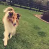 waynesheridan - @waynes_spam - TikTok