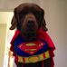 Wayne Sherlock - Facebook