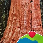 Wayne Sherlock - @waynesherlock5 - Instagram