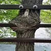 Wayne Shields716 - @waynecshields - TikTok