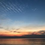 Wayne Shields - @wayne_shields - Instagram