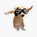 Wayne Shockley - Facebook