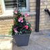 Wayne Shoemaker - Facebook