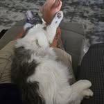 Wayne Shoffner - @shoffnerwayne - Instagram