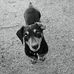 Wayne Shook - Facebook