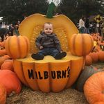 Wayne Shorey - @shoreywayne - Instagram