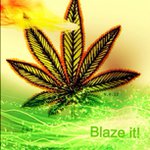 Wayne Shuler - @chatectres - Instagram