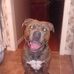 Wayne Siegrist - Facebook