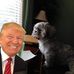 Wayne Sigmon - Facebook