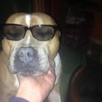 Wayne Simmons - @wayne3766 - Instagram