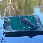 Wayne Simmons - @wayne_simmons_ - Instagram