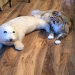 Wayne Simms - @simms_wayne - Instagram