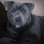 Wayne Simons - @simo3925 - Instagram