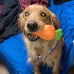 wayne.sims - @wayne.sims97 - Instagram