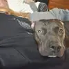 Wayne Sites - @wayne.sites - TikTok
