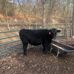 Wayne Sizemore - Facebook