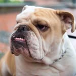 Wayne Skala - @wayne.ska - Instagram