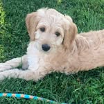 Charlie Wayne Skeens - @charliewayneskeens - Instagram