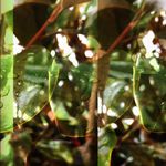 Charles Wayne Slaven - @slavensphotoss - Instagram