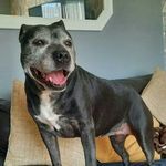Wayne Sloan - @wayne.sloan - Instagram