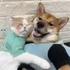 waynesmith9514 - @waynesmith9514 - TikTok