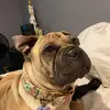 user4624279606276 - @smoothy_wayne - TikTok