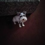 Wayne Smoother - @waynesmoother - Instagram