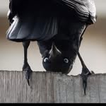 Wayne Sneade - @waynesneade - Instagram